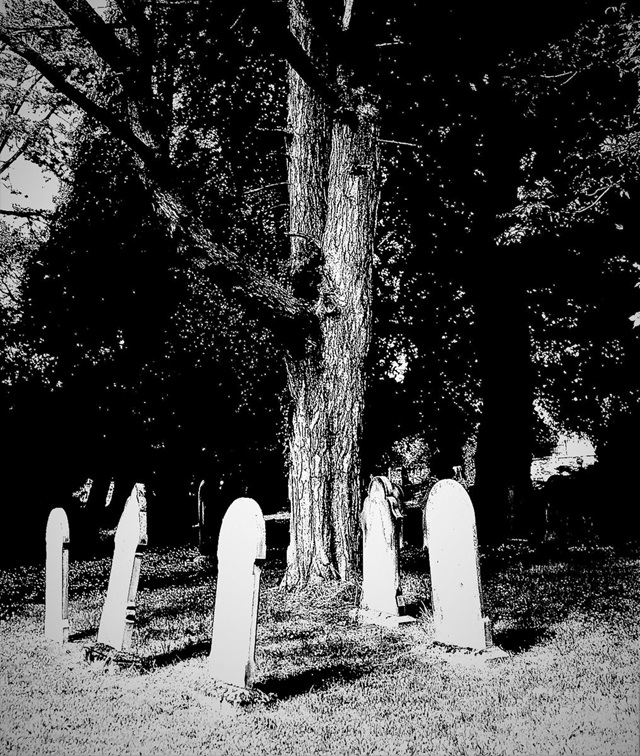 Gravetender