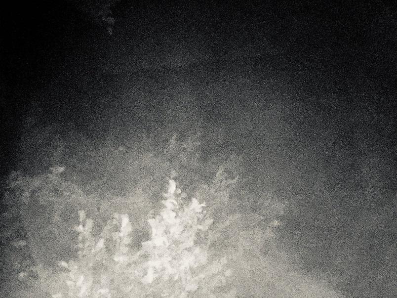 Samhain