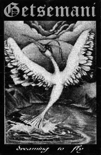 Dreaming to Fly