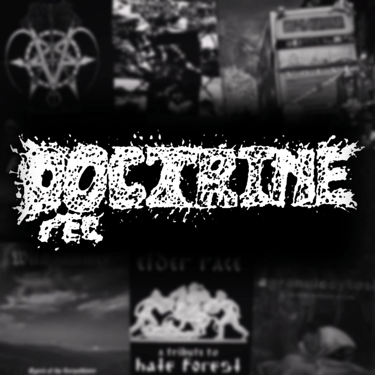 Doctrine Records