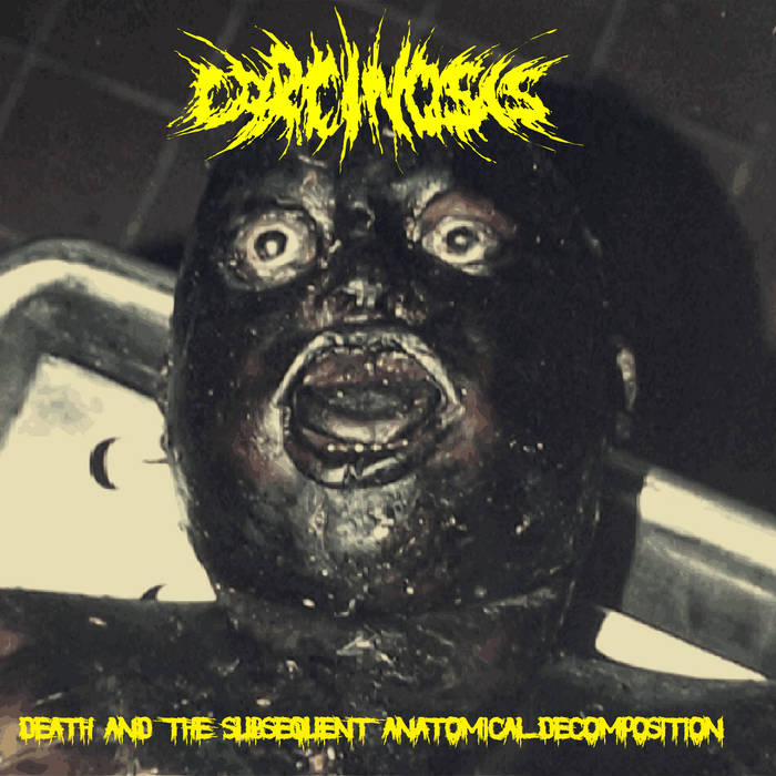 Death and the Subsequent Anatomical Decomposition