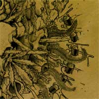 Ophiuchus