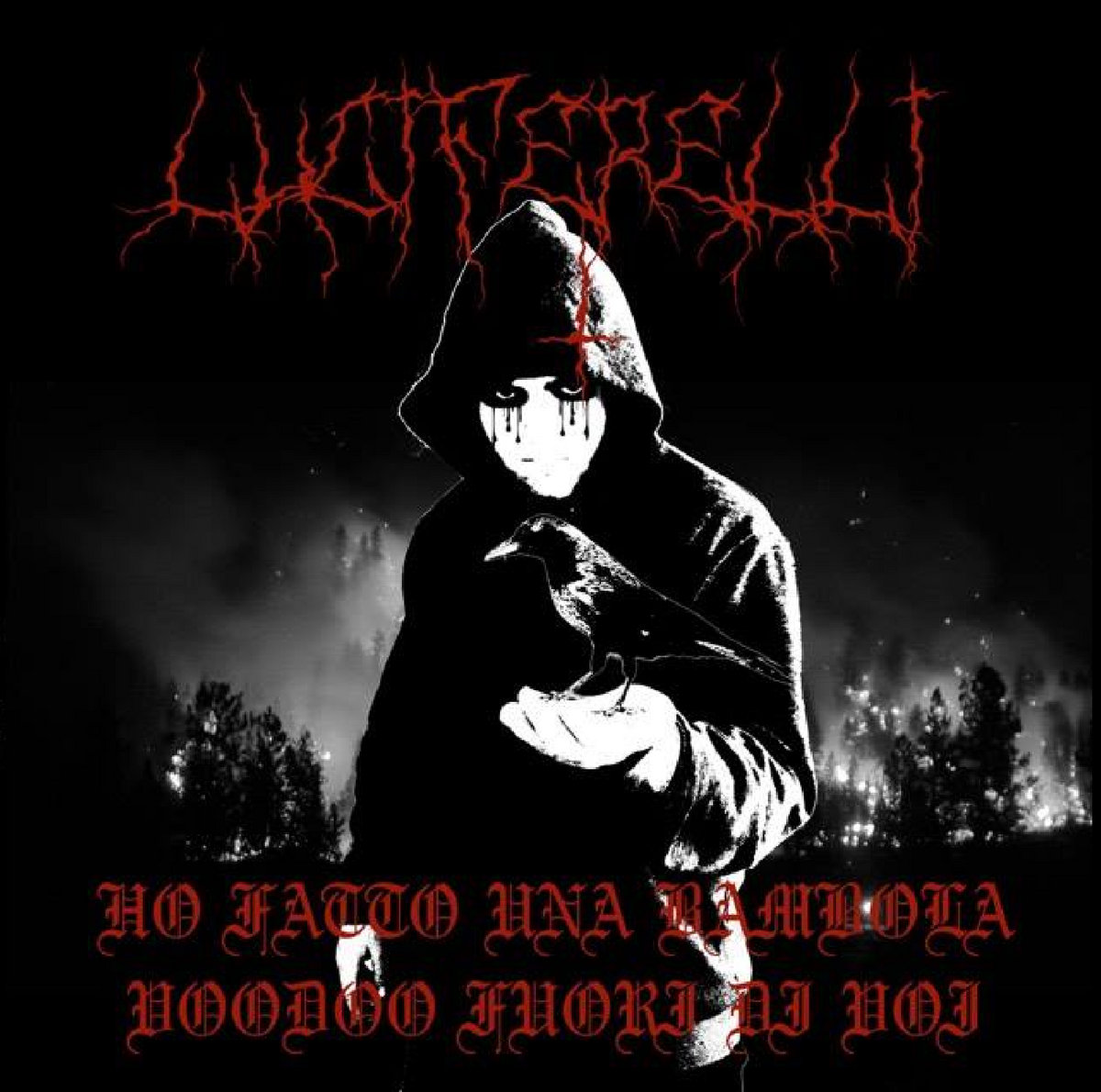 Ho Fatto Una Bambola Voodoo Fuori di Voi