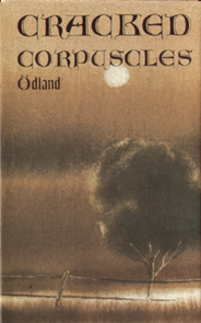 Ödland