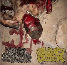 Barbaric Desecration / Clumps of Flesh