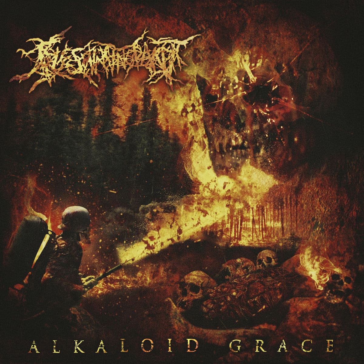 Alkaloid Grace