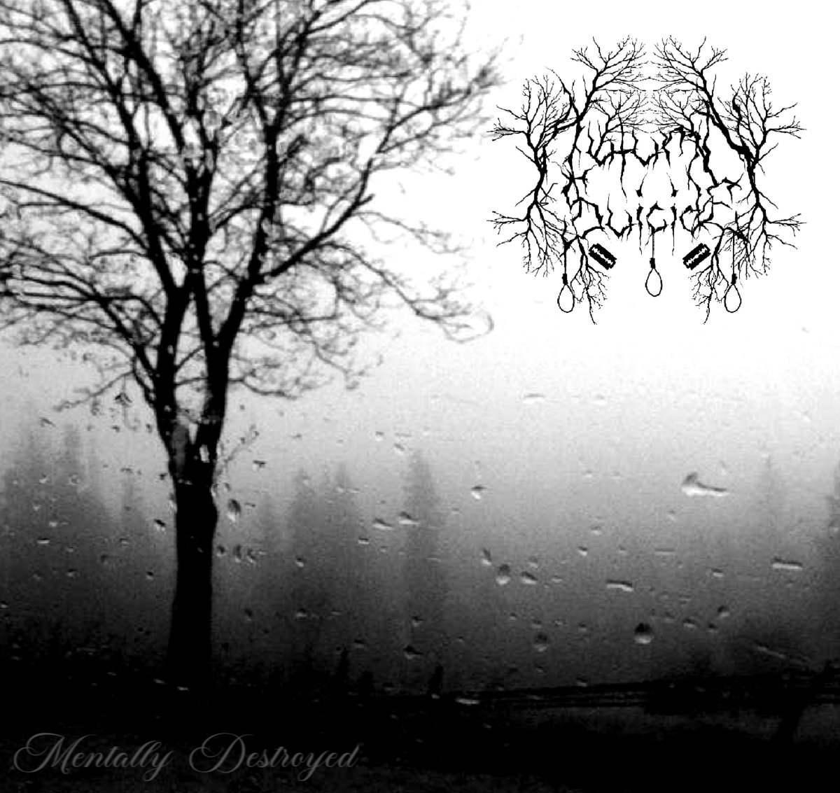 Mentally Destroyed​.​.​.