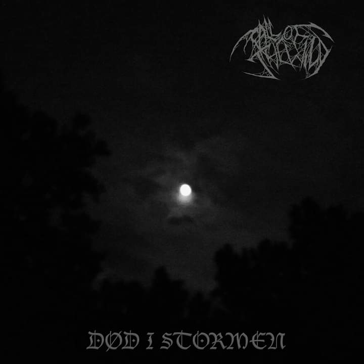 Død i stormen