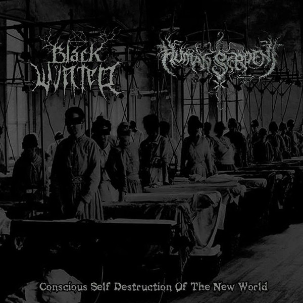 Conscious Self Destruction of the New World