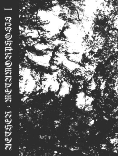 Metamorphosis I