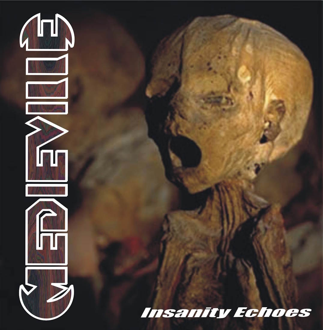 Insanity Echoes