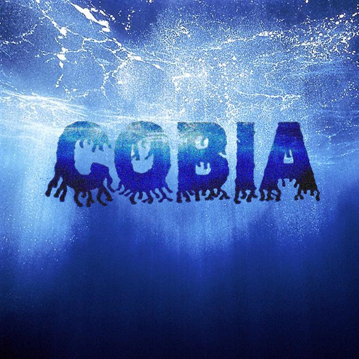 Cobia