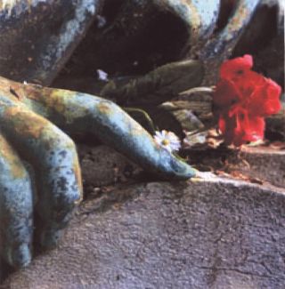 A Landscape of Whorethorns