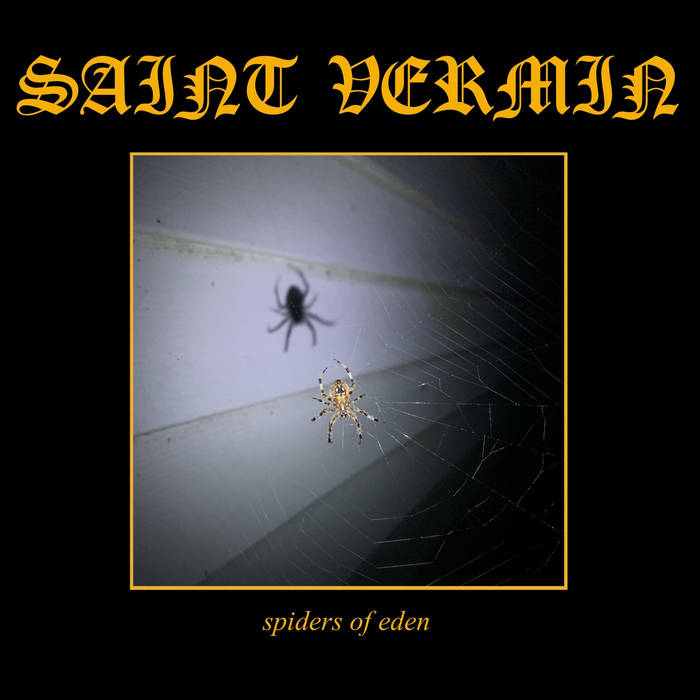 Spiders of Eden