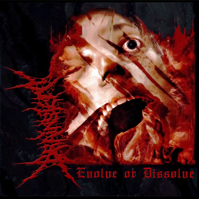 Evolve or Dissolve
