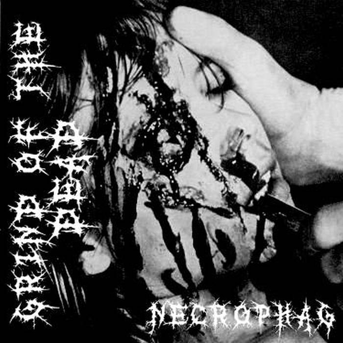 Necrophag