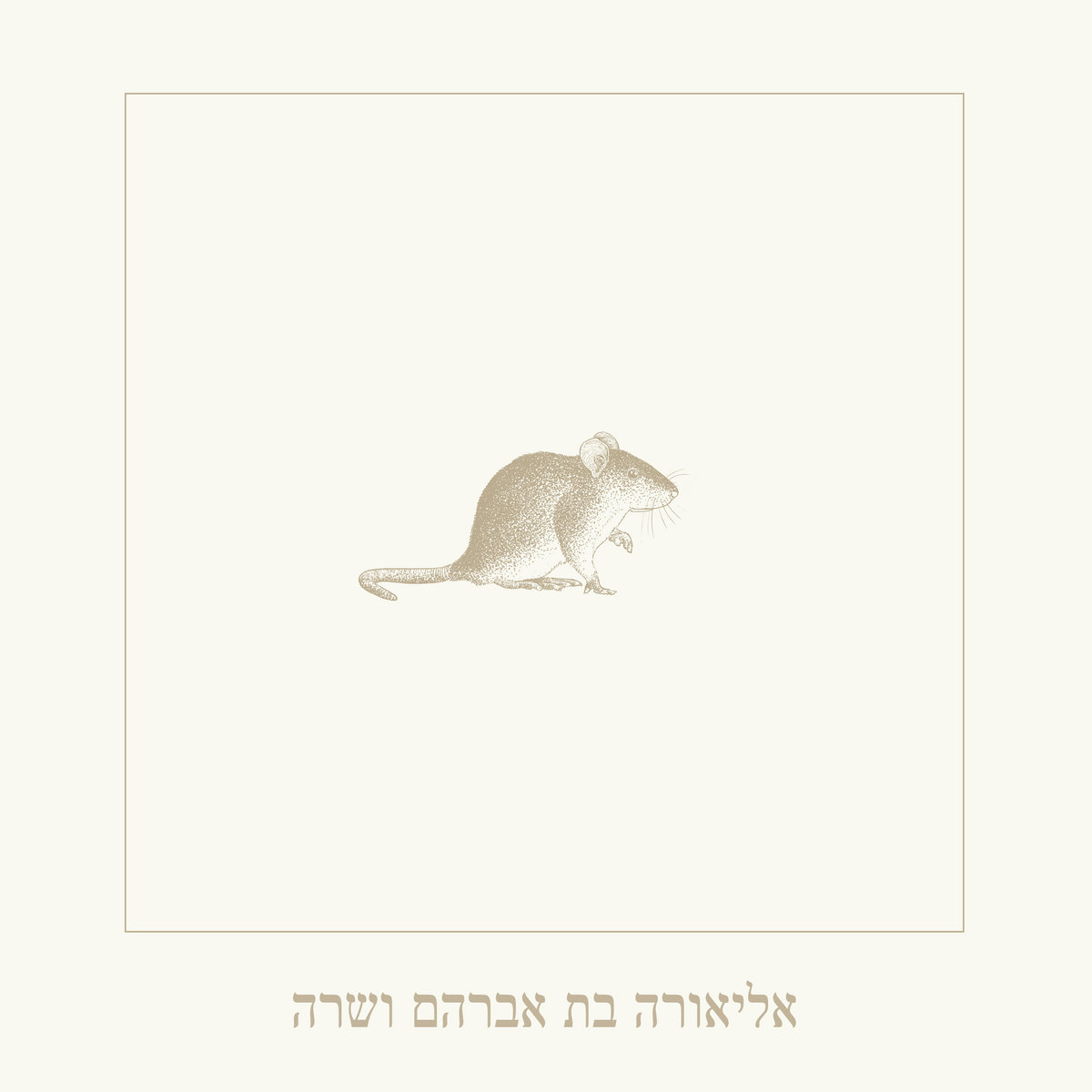Eliora bat Avraham v' Sarah