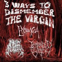 3 Ways to Dismember the Virgin