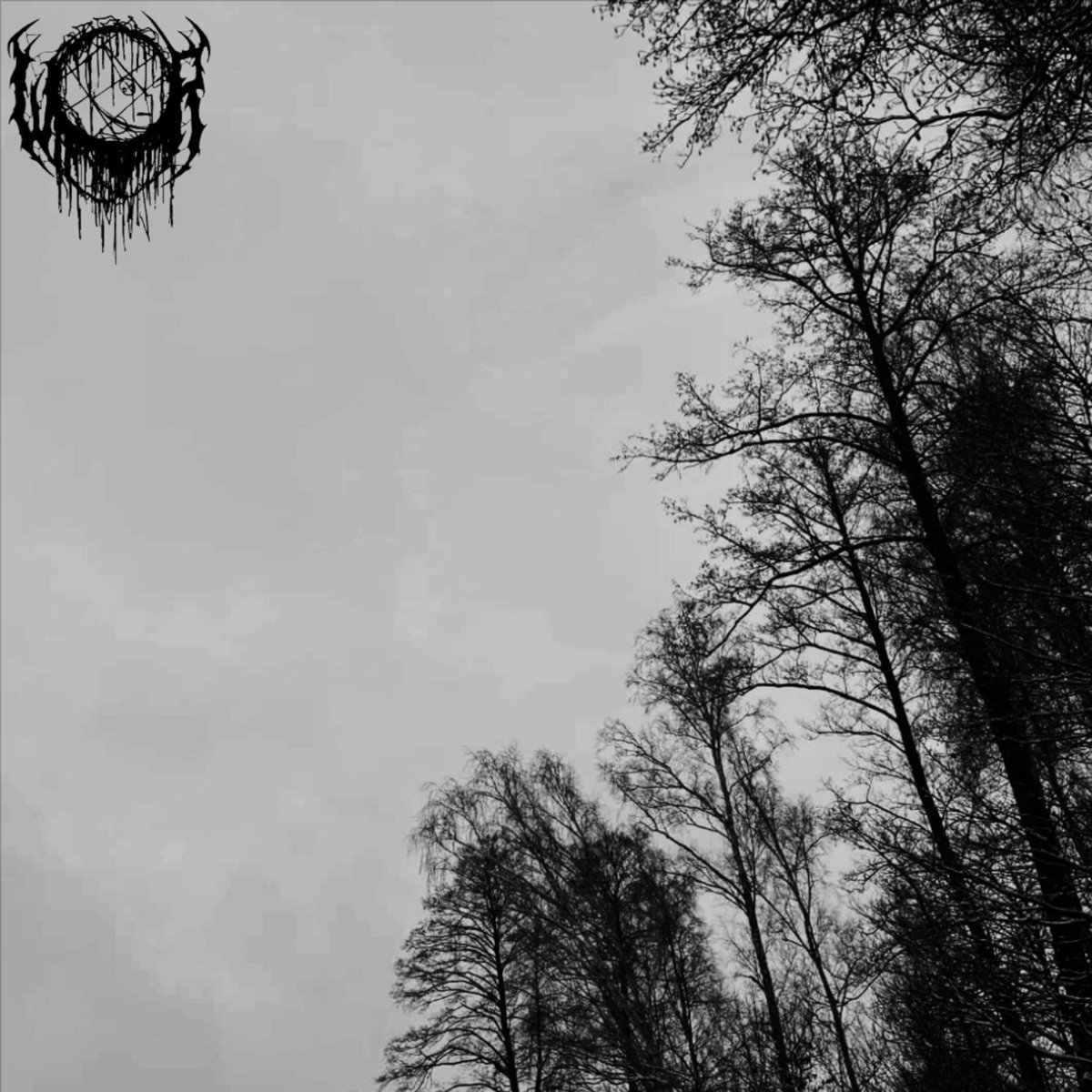 Bleeding Trees