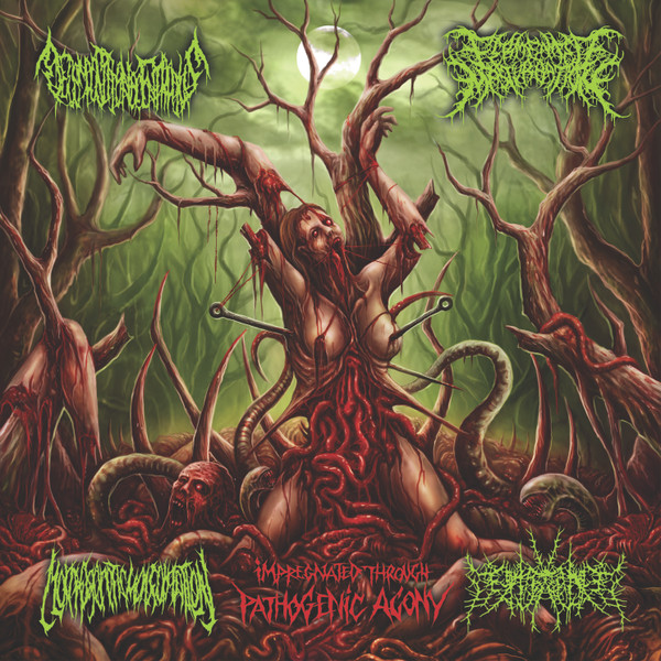 Impregnated Through Pathogenic Agony