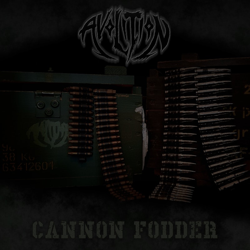 Cannon Fodder