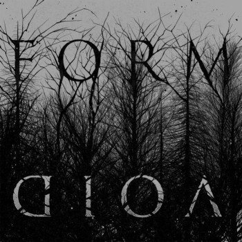 Form & Void