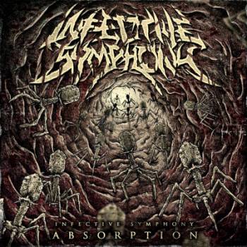 Absorption