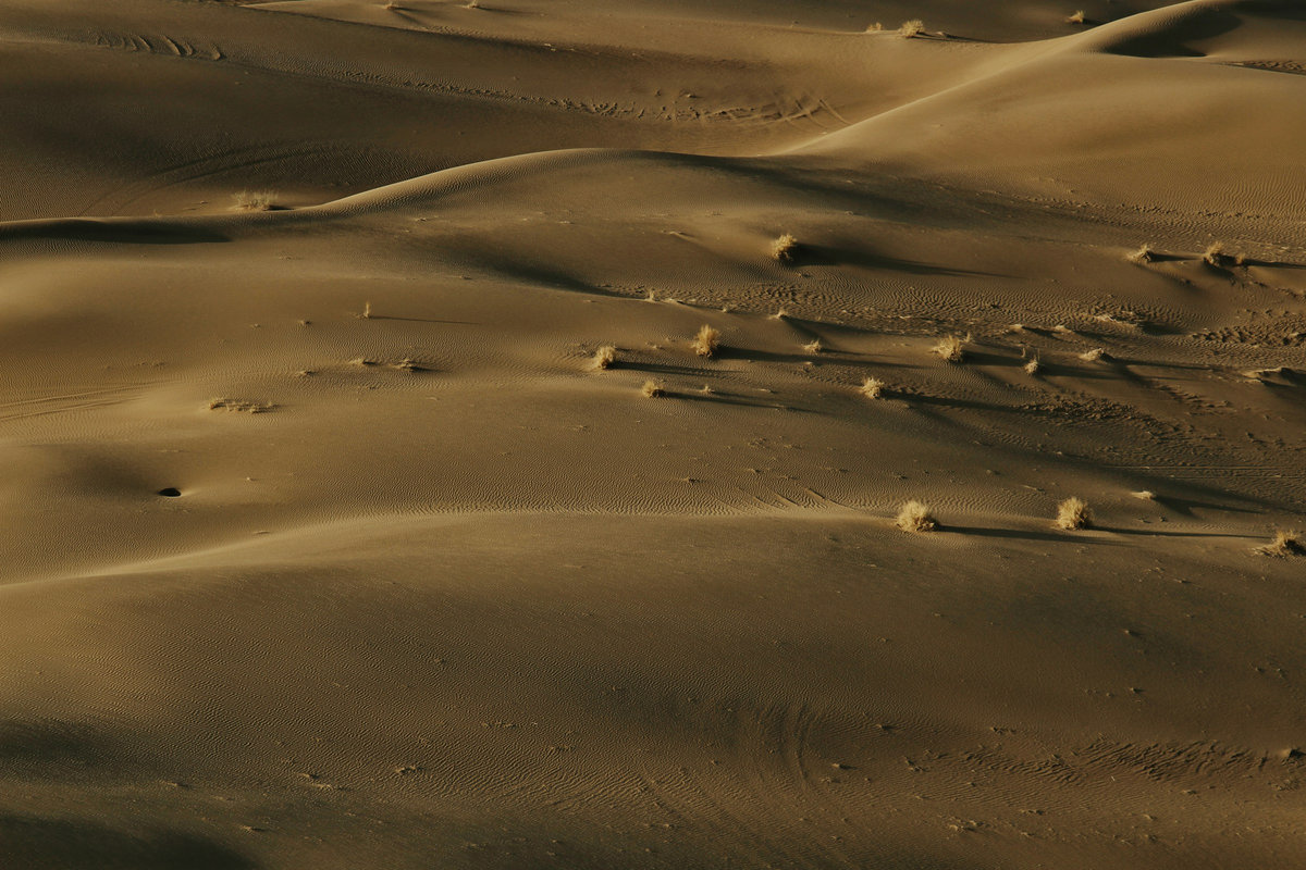 Desert