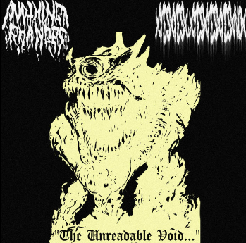 The Unreadable Void