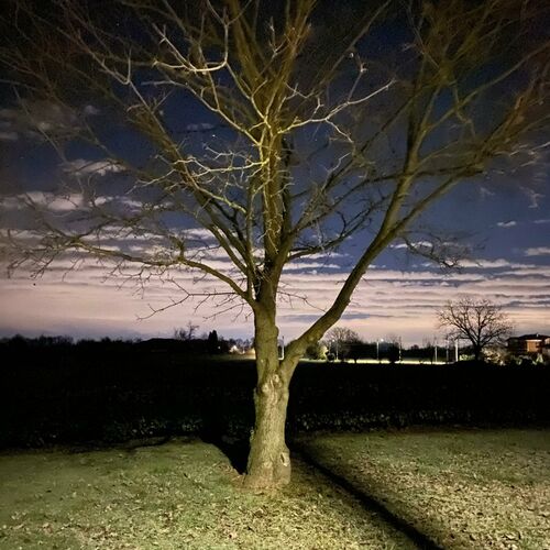 Untitled 1