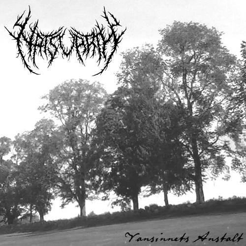 Vansinnets anstalt