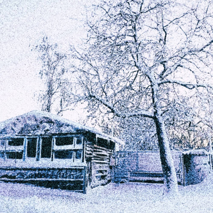 Winter Feeling