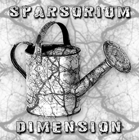 Dimension