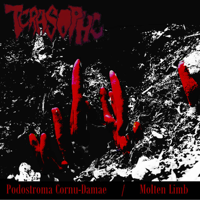 P.Cornu-Damae/Molten Limb