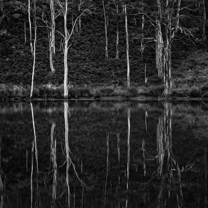 Blood in the River