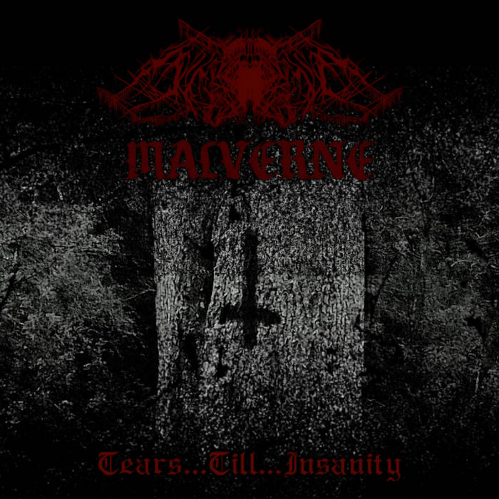 Tears​.​.​.​Till​.​.​.​Insanity