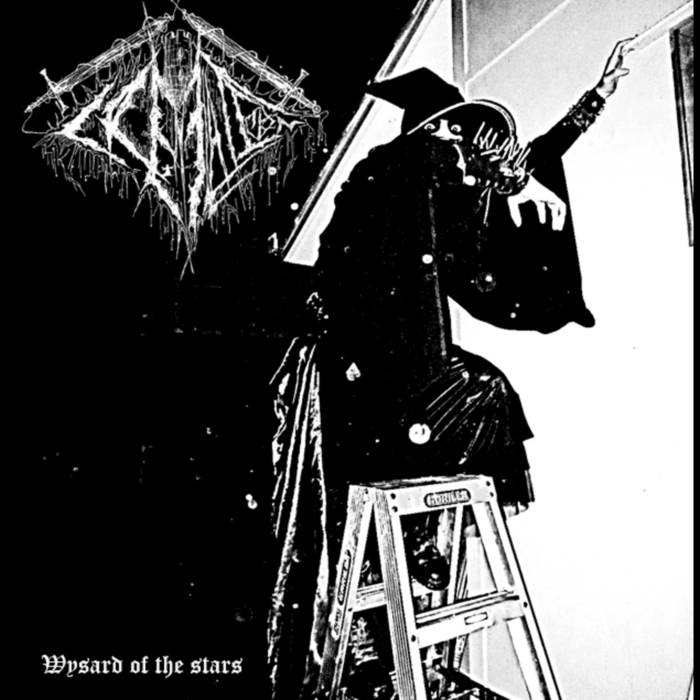 Wysard of the Stars