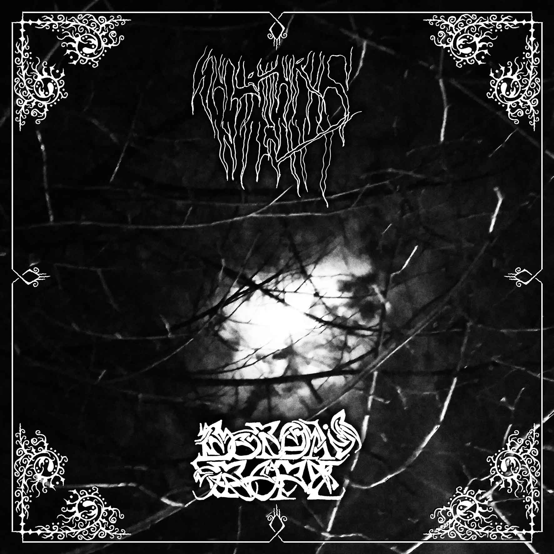 Sulphuric Night / Borda's Rope