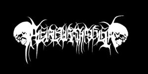 Nebelbringer logo