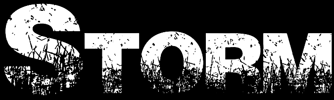 Storm logo