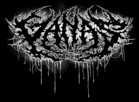 Ganas logo