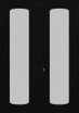 II logo