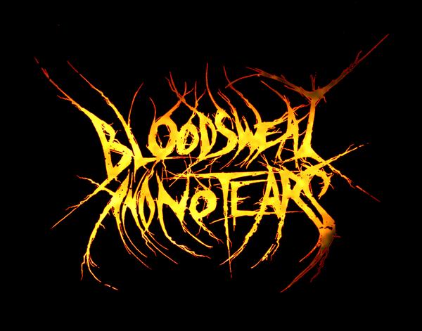 Blood Sweat and No Tears logo