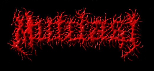 Mutilasi logo