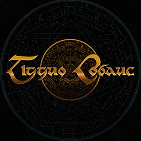 Tigguo Cobauc logo