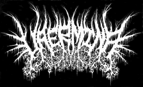 Vaermina logo