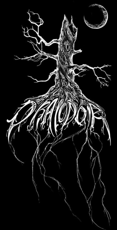 Draiodoir logo