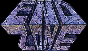 End Zone logo