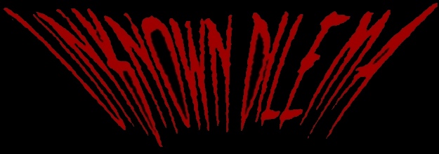 Unknown Dilema logo