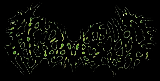 A.C.O.V.S.U.R. logo